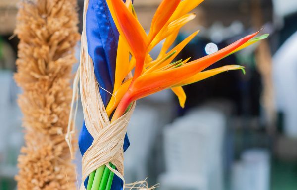 Glenn Le Ph Officiel