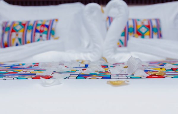 HOTEL Hibiscus  (Louis)